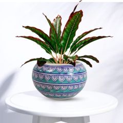 Khurja Pottery Outdoor Pot &ndash; Apple Shape, Light Green, Big Size (6 Inches)